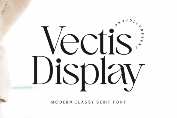Choosing Vectis Display for a Lifestyle Blog Redesign
